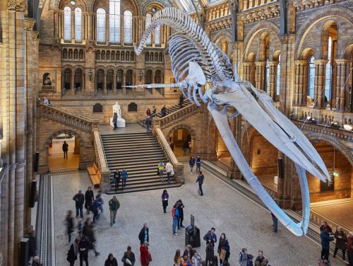 Cultural-tourism-in-England Cultural-tourism-in-England